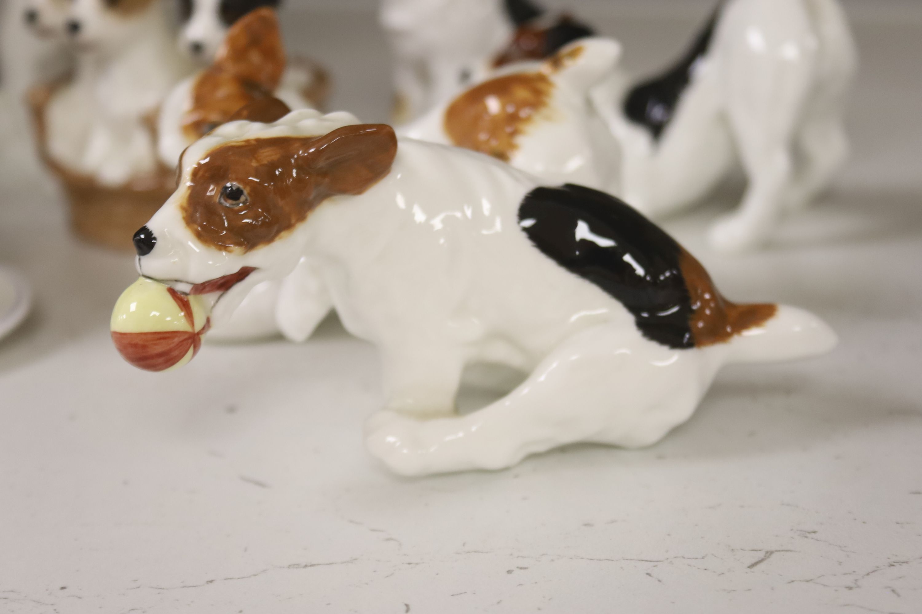 Seven Royal Doulton models of terrier puppies